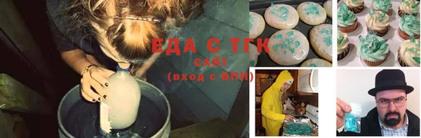 крисы Кулебаки
