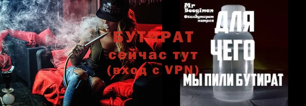 крисы Кулебаки