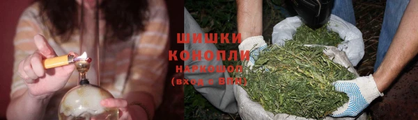 крисы Кулебаки