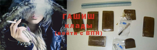 крисы Кулебаки