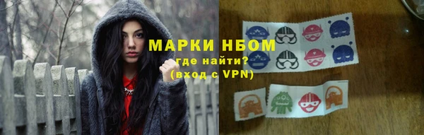 крисы Куйбышев