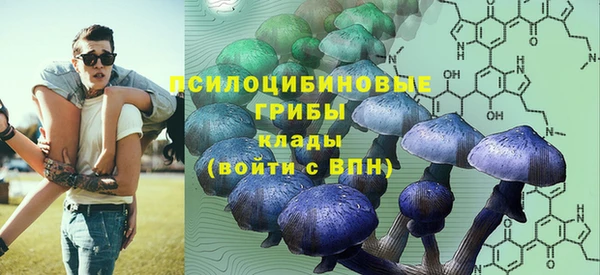 эйфоретик Кукмор