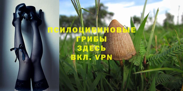 эйфоретик Кукмор
