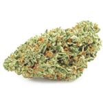 Шишки OG Kush  (Гидропоника, бошки) VHQ в Ленинске